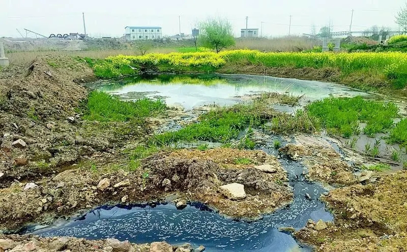 黑龍江省2024年農(nóng)村生活污水、黑臭水體治理工作方案出爐！